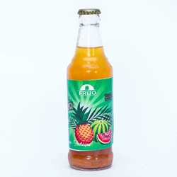 JUS ANANAS PASTEQUE FRIJO 33CL