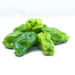 PIMENT VERT 250G