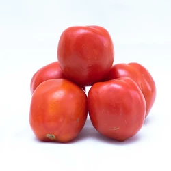 TOMATES FRAICHES 500G