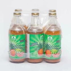 PACK JUS ANANAS PASTEQUE FRIJO 33CL