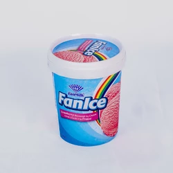 FANICE FRAISE FANMILK 500ML