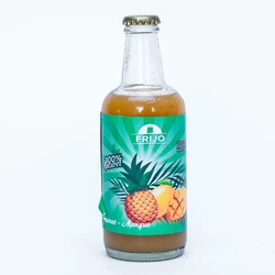 JUS ANANAS MANGUE FRIJO 33CL